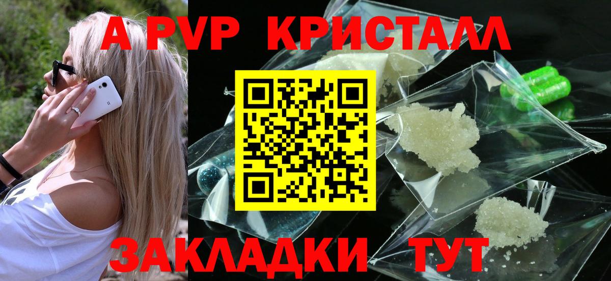 Альфа ПВП СК Славгород