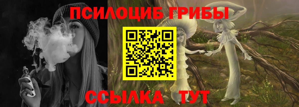 Псилоцибиновые грибы мухоморы  Вход с VPN  Славгород  хочу наркоту  Галлюциногенные грибы ЛСД 